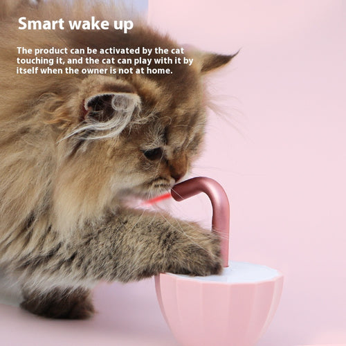 Interactive Kitten Toy – Laser Fun Without the Fuss