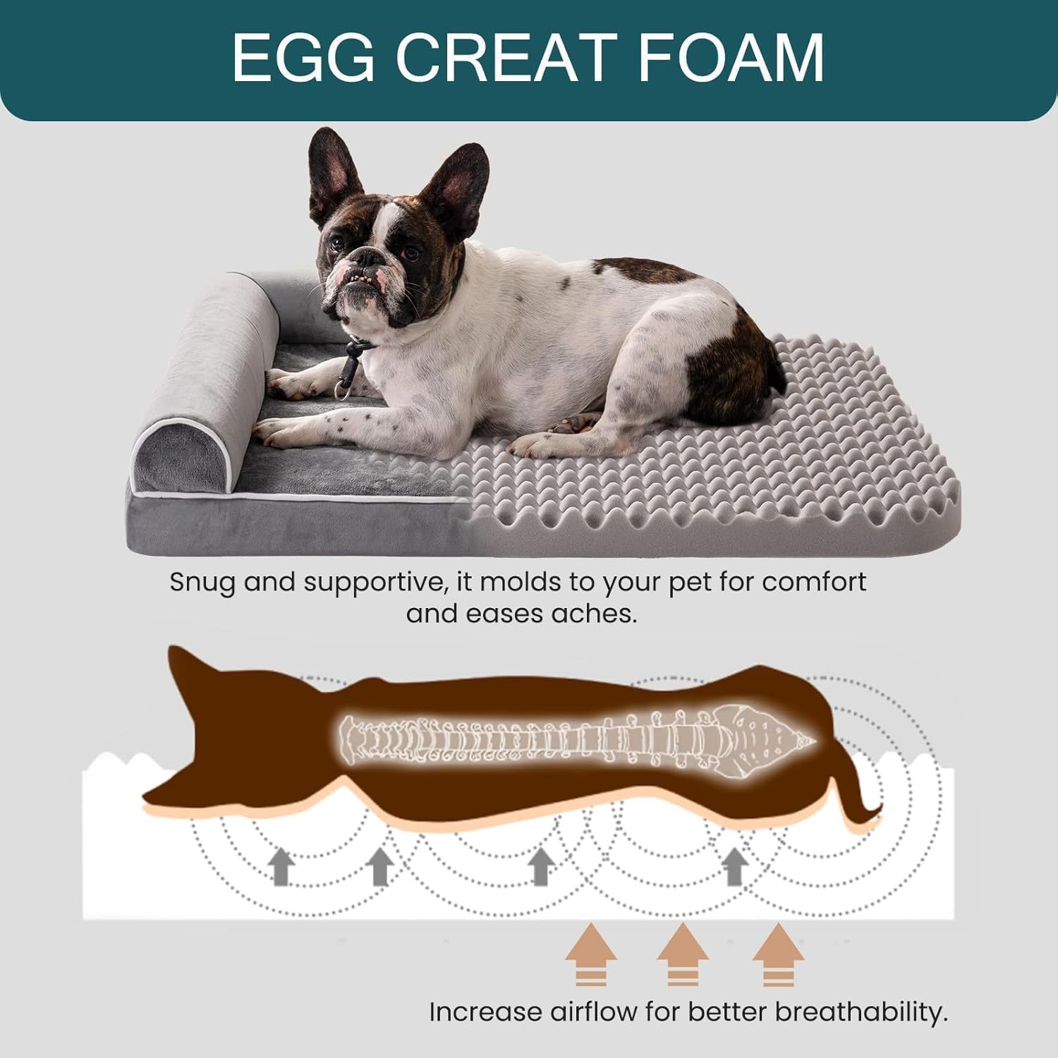 Orthopedic Dog Bed – XL Comfort for Sweet Dog Dreams